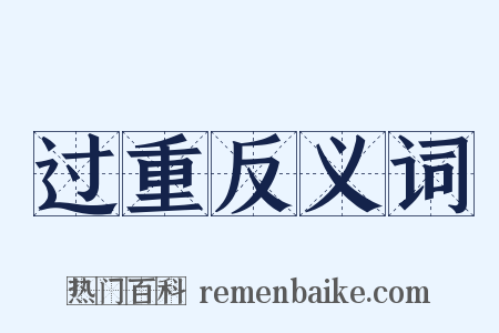 过重反义词是什么意思的图片